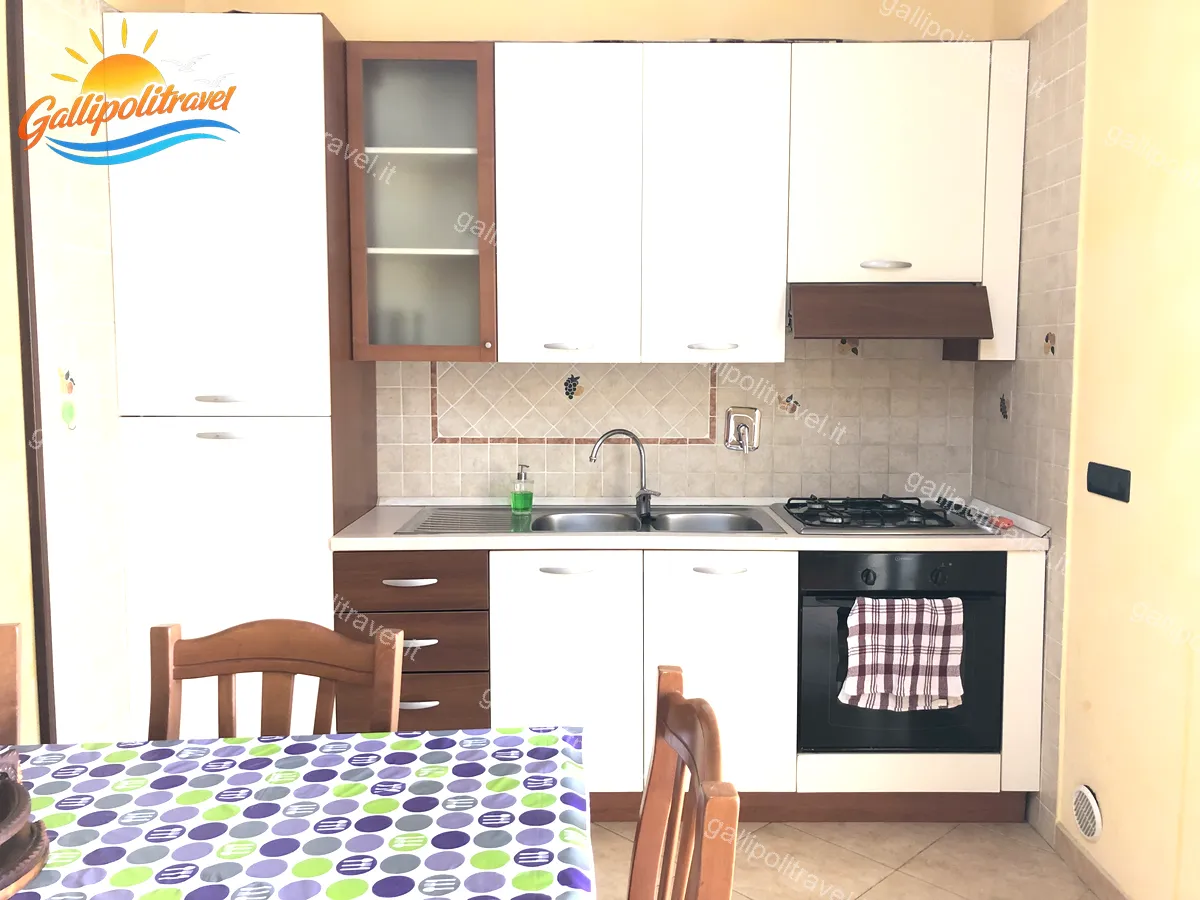 Küche mit Weintraubenfliesen, Herd und Backofen in der Dreizimmerwohnung D1/3